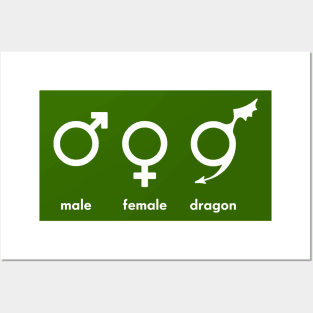 male female dragon Posters and Art